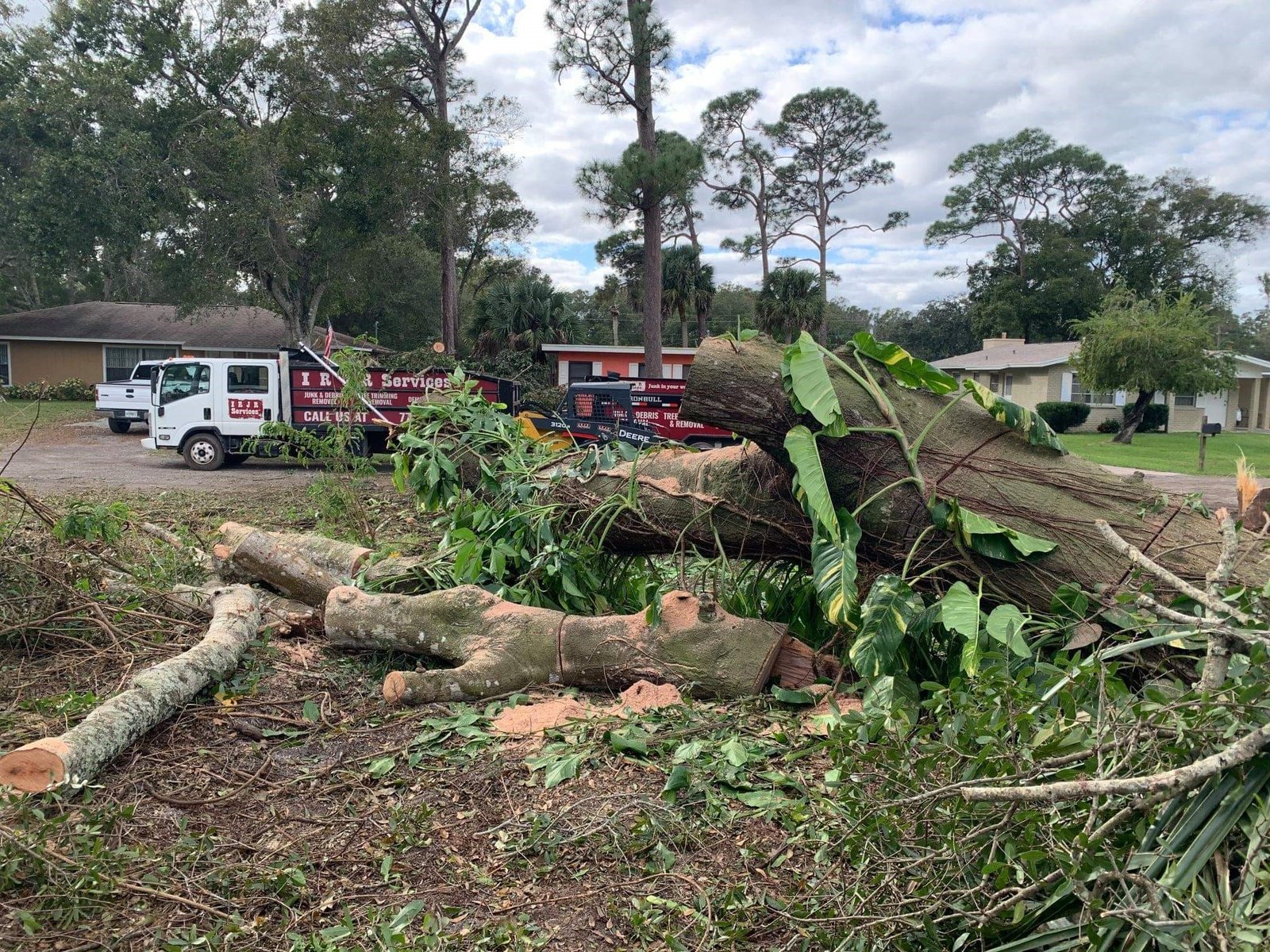 IRJR Services | Tree Removal